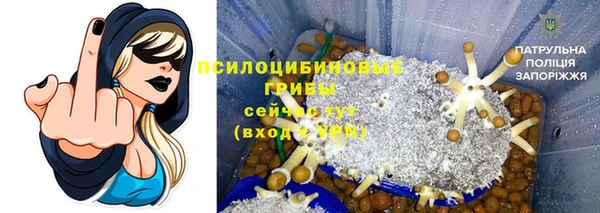 МДМА Богданович